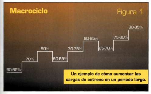 como desarrollar la musculatura